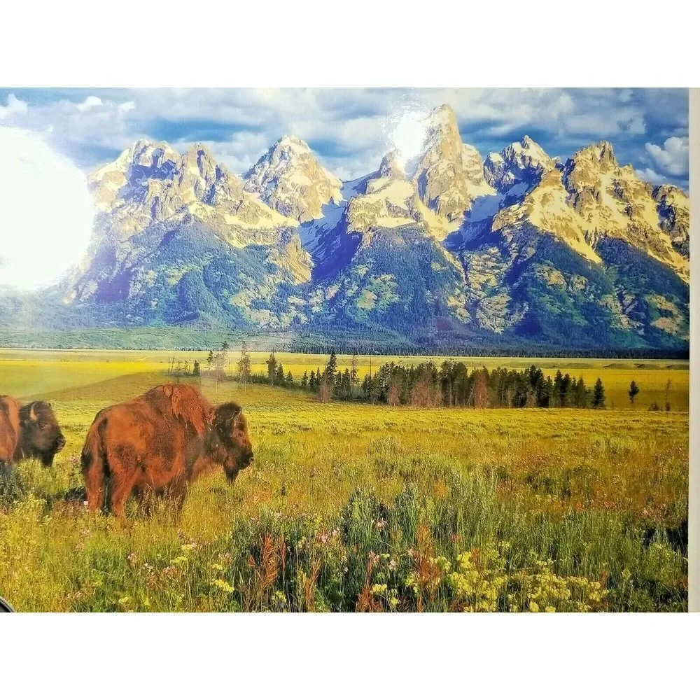 N/A grand teton